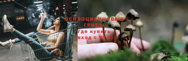 PSILOCYBIN Абаза