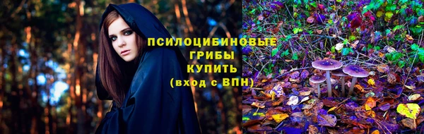 соль ск Абинск