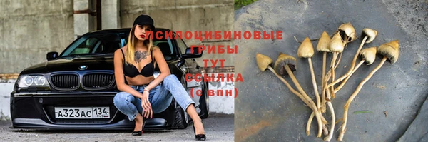 соль ск Абинск