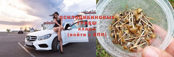 PSILOCYBIN Абаза